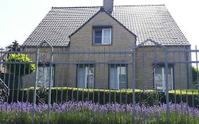 Hemelse Helderheid
